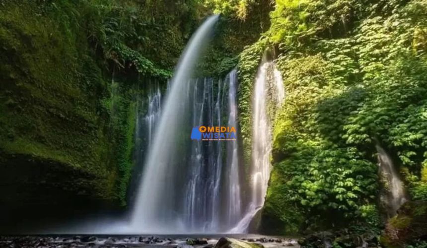 Air Terjun Tiu Kelep – Eksotisme di Tengah Hutan