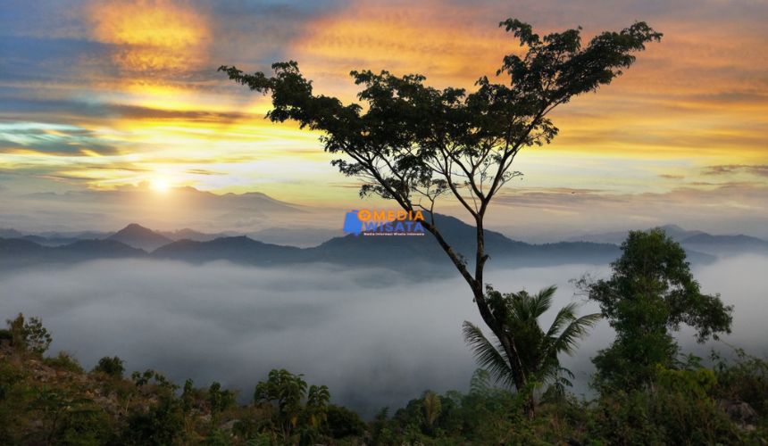 Bukit Banyon – Negeri di Atas Awan Trenggalek