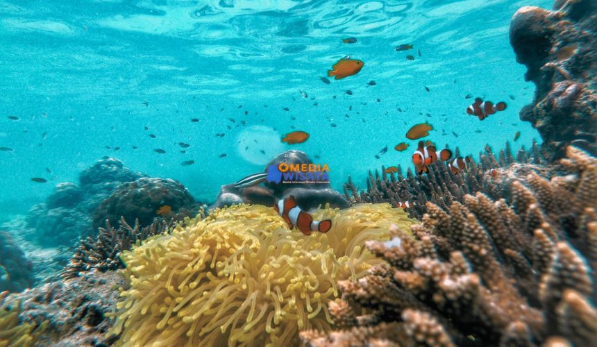 Daya Tarik Gili Ketapang yang Bikin Betah