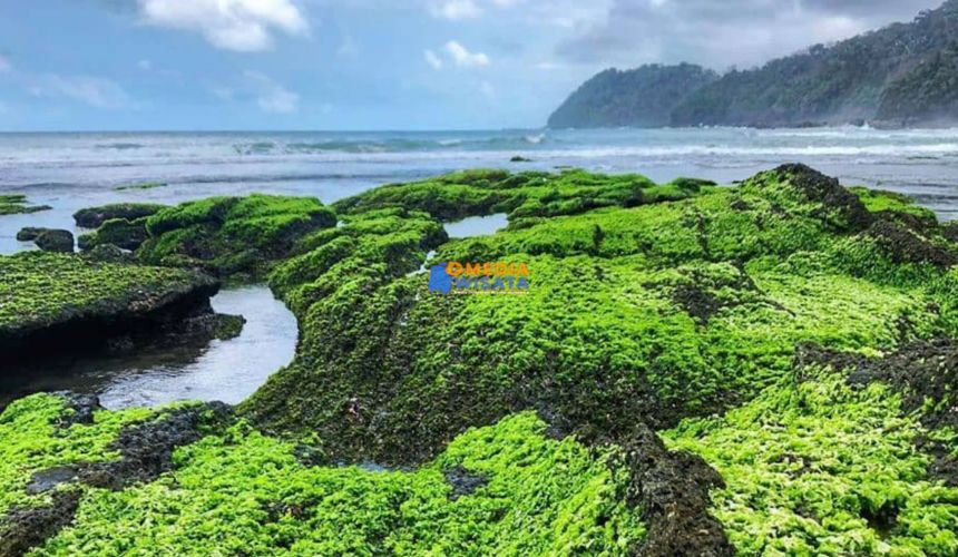 Daya Tarik Pantai Kalipat yang Bikin Jatuh Hati