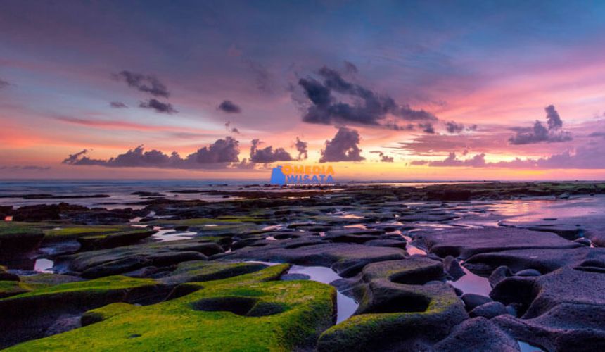 Daya Tarik Pantai Medewi yang Memikat Hati