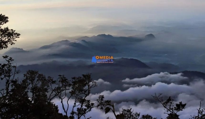 Daya Tarik Utama Gunung Cikuray