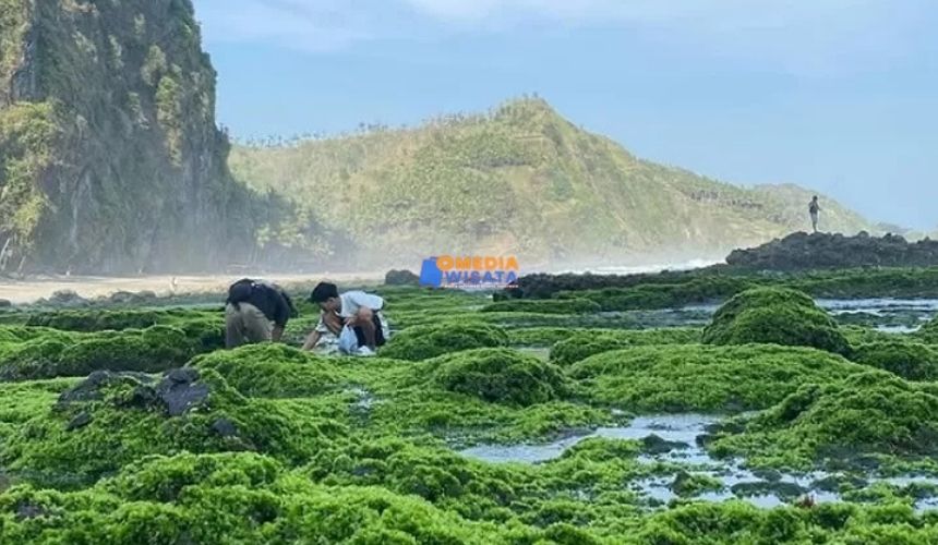 Daya Tarik Utama Pantai Pecaron