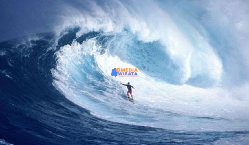 Daya Tarik Utama Pantai Plengkung