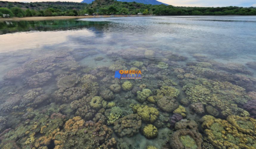 Daya Tarik Utama Pantai Sijile
