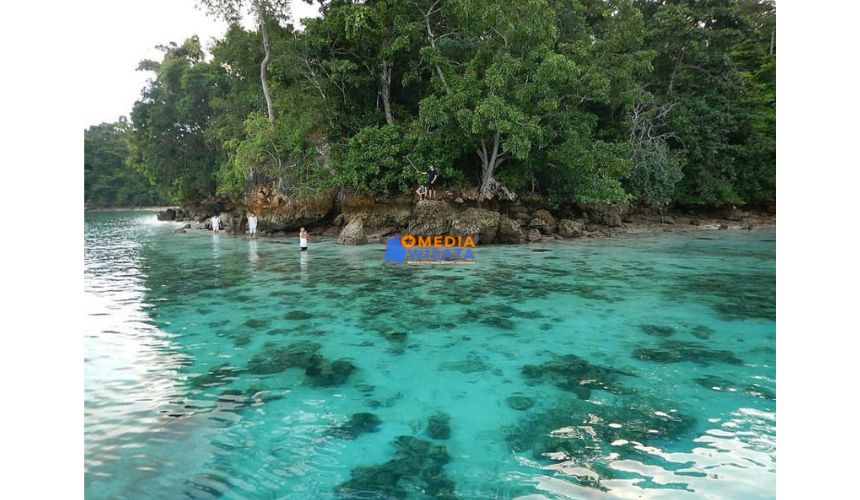 Daya Tarik Utama Pantai Teluk Biru