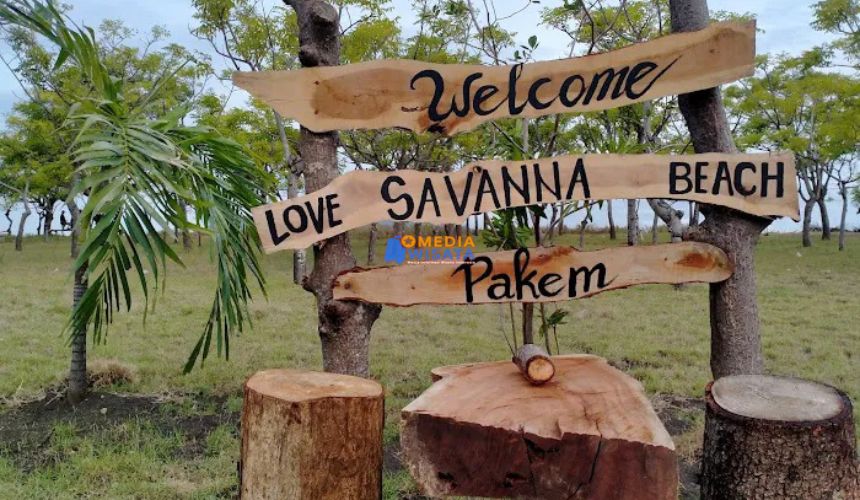 Daya Tarik Utama Savana Beach