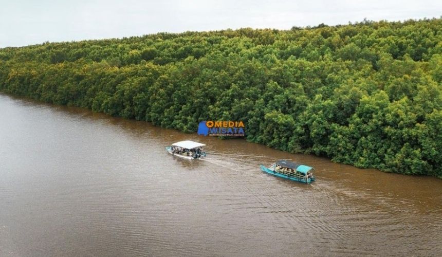 Daya Tarik Utama Wisata Mangrove Bedul Ecotourism