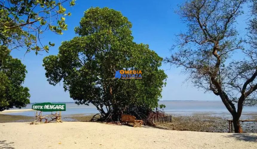 Daya Tarik Utama yang Bikin Penasaran
