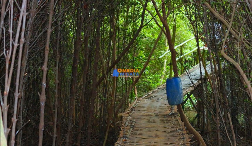 Daya Tarik Wisata Hutan Lestari Blok Waledan