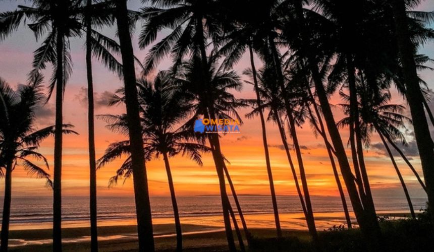 Daya Tarik Wisata Pantai Pasut