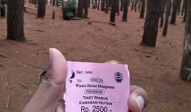 Harga Tiket Masuk Hutan Pinus Mangunan Jogja Terbaru 2019