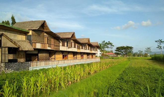 Hotel Murah di Jogja Dekat Malioboro - Paddy D'sawah Guest house