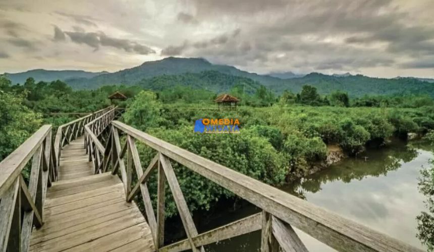 Hutan Bakau Pancer Cengkrong – Foto Aesthetic di Jembatan Kayu