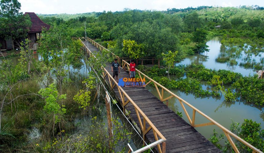 Hutan Payau Kampung Laut