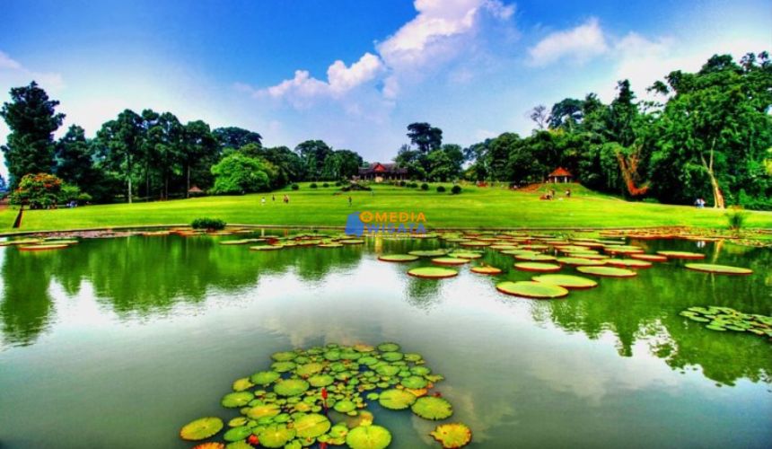 Kebun Raya Bogor – Destinasi Wisata Sejarah dan Alam
