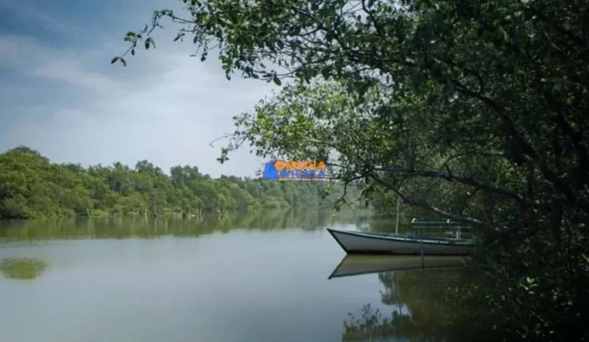 Keunikan dan Daya Tarik Pantai Ketingan