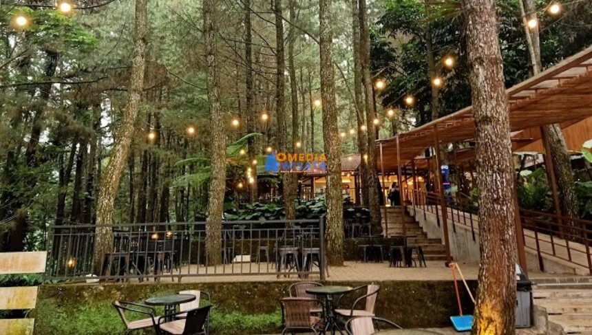 Kopi Daong – Nongkrong di Kafe dengan Panorama Alam