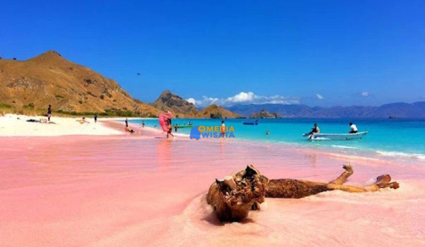 Pantai Pink – Keindahan Pasir yang Tak Biasa