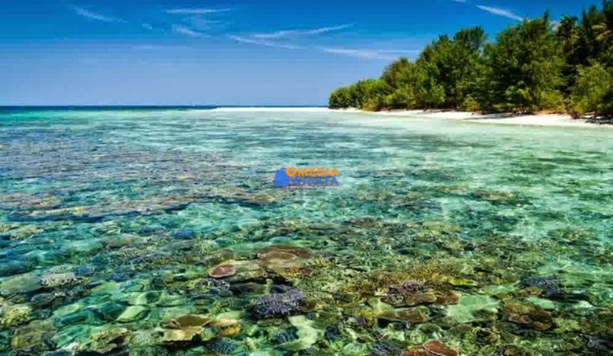 Pesona Spot Diving di Karimunjawa Paling Hits dan Instagramable