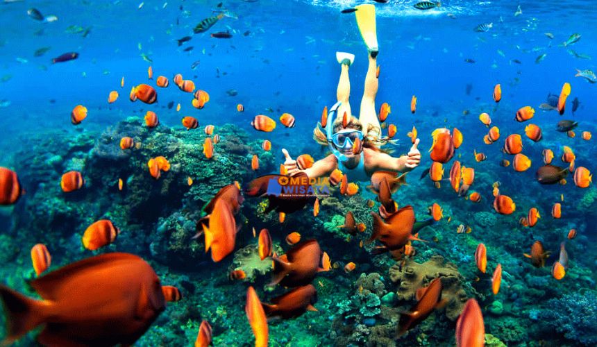 Pulau Rubiah
