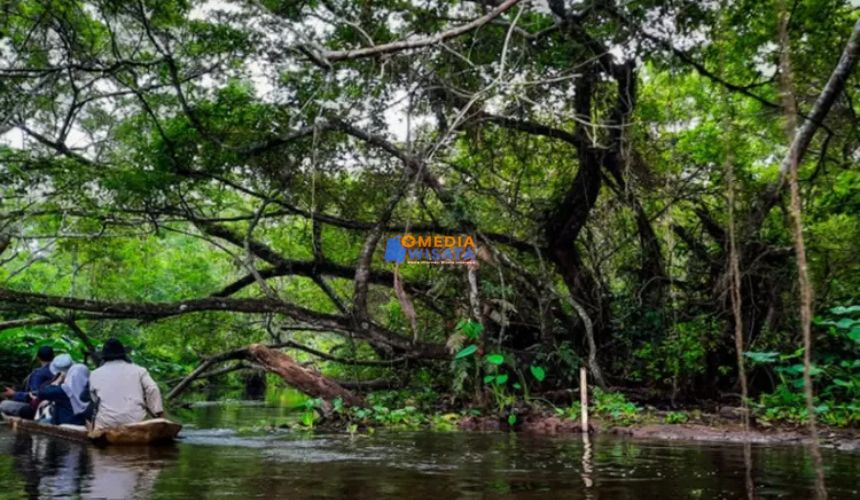 Rawa Dano – Danau Unik dengan Suasana Mistis
