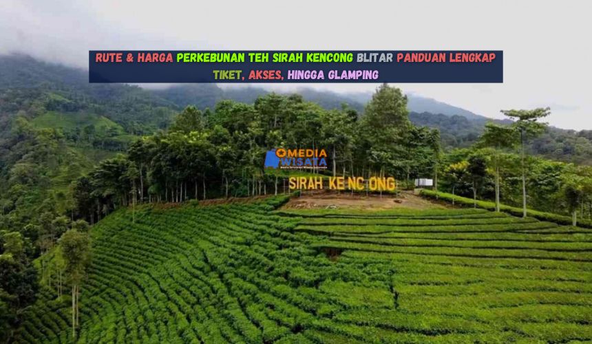 Rute & Harga Perkebunan Teh Sirah Kencong Blitar