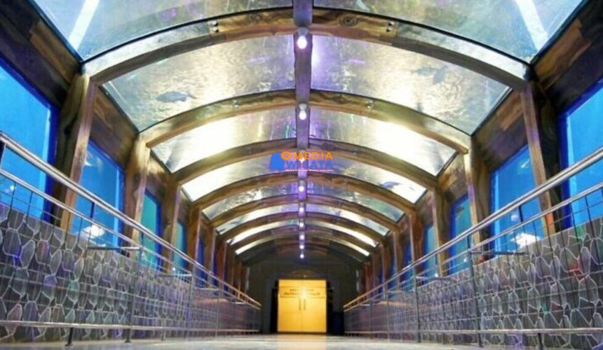 Rute dan Harga Aquarium Purbasari Pancuran Mas