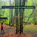 Rute dan Harga Hutan Wisata Bambu Bulaksalak