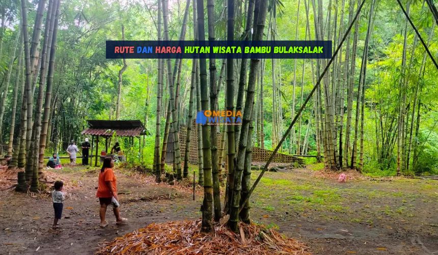 Rute dan Harga Hutan Wisata Bambu Bulaksalak
