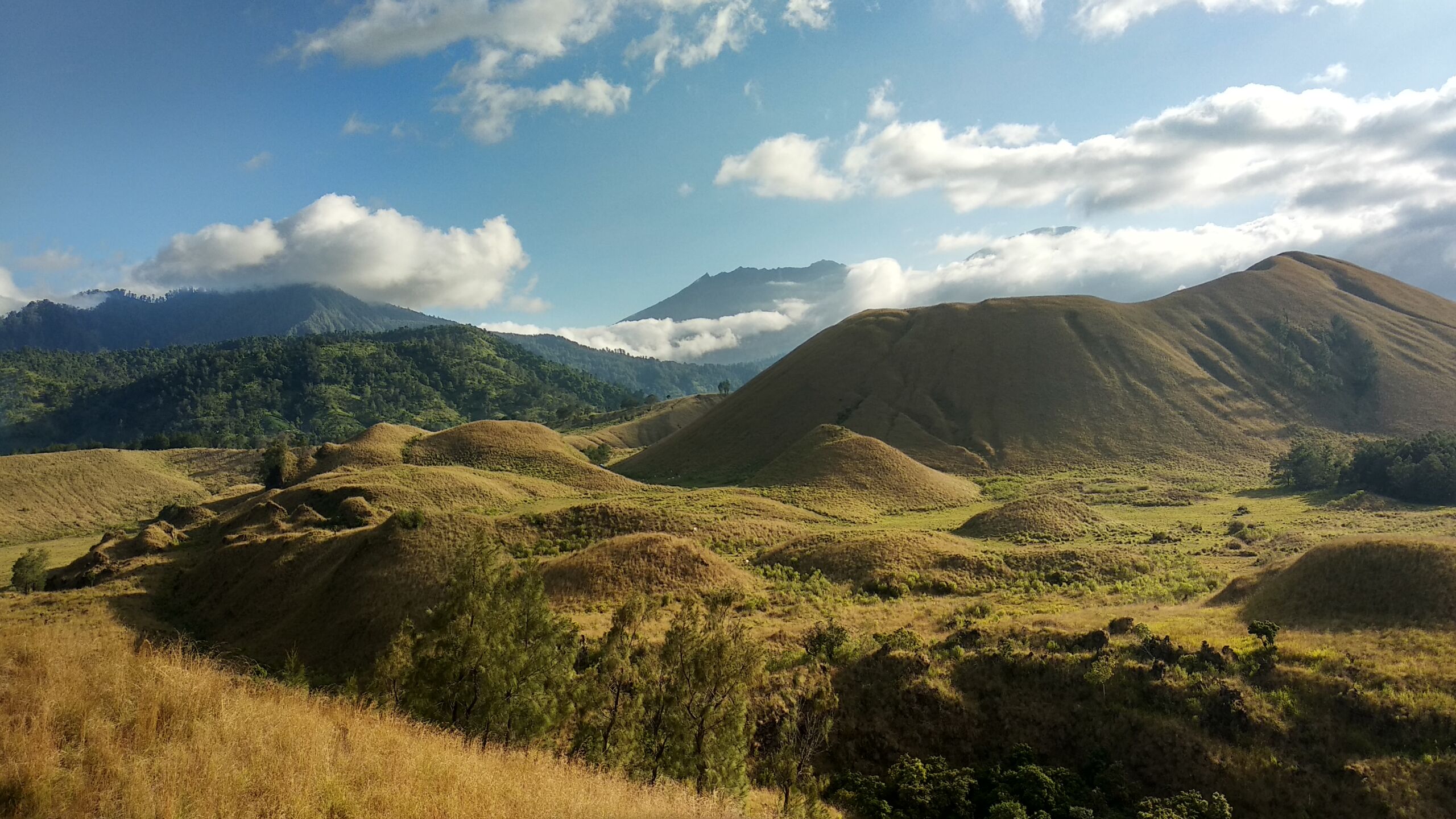 Rute dan Harga Wisata Kawah Wurung Terbaru