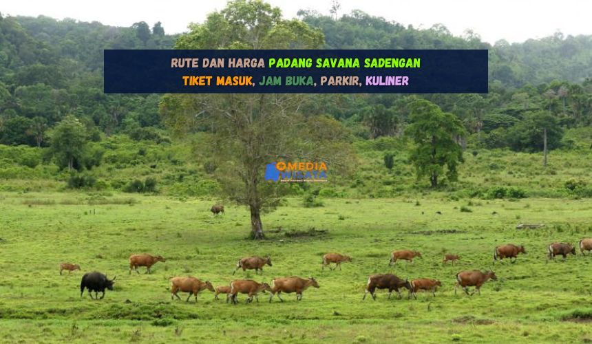 Rute dan Harga Padang Savana Sadengan