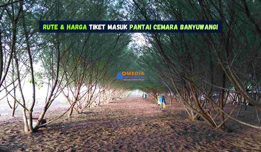 Rute dan Harga Tiket Masuk Pantai Cemara Banyuwangi