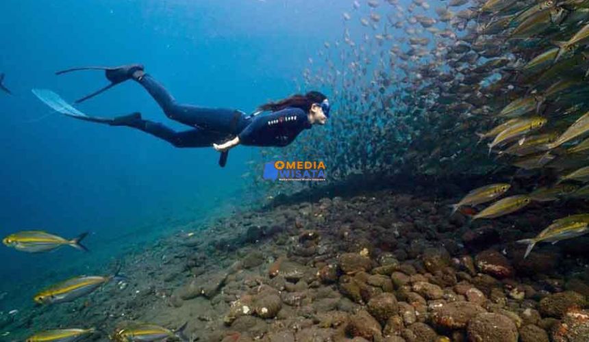 Snorkeling