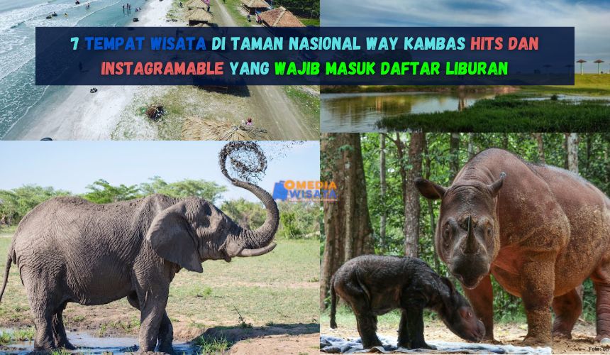 Tempat Wisata di Taman Nasional Way Kambas Hits Instagramable