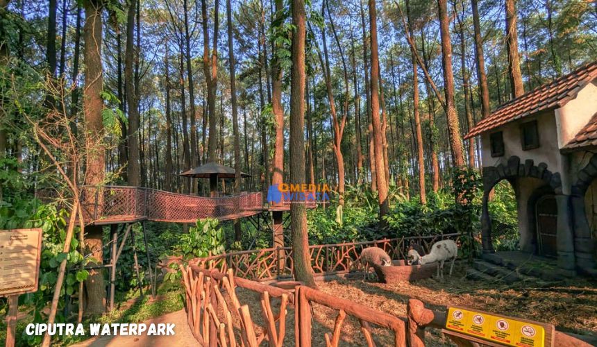 Taman Safari Prigen