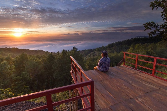 Tempat Wisata Alam di Jogja-Gardu Pandang Pinus Asri