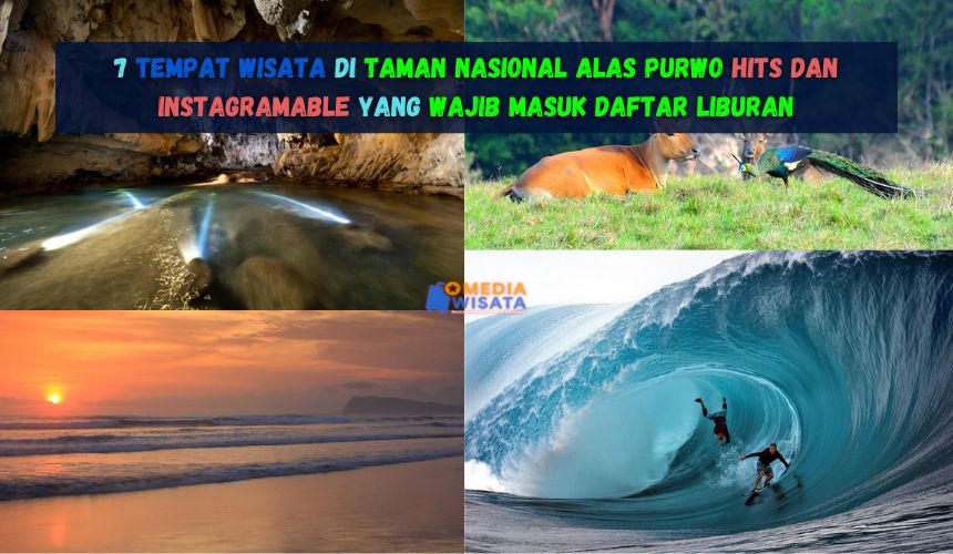 Tempat Wisata di Taman Nasional Alas Purwo Hits Instagramable