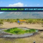 Wisata Gunung Baluran Paling Hits dan Instagramable