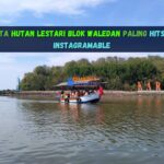 Wisata Hutan Lestari Blok Waledan Paling Hits dan Instagramable