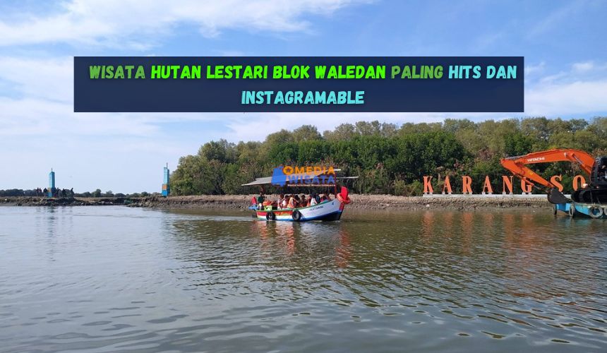 Wisata Hutan Lestari Blok Waledan Paling Hits dan Instagramable