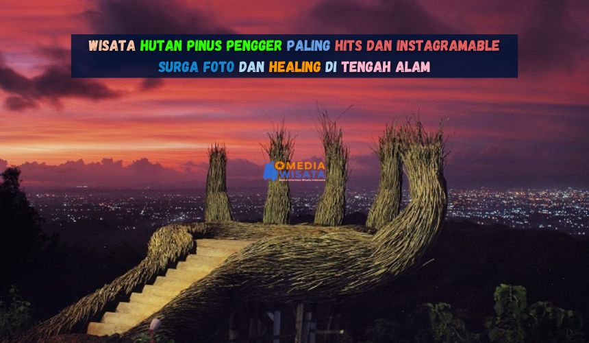 Wisata Hutan Pinus Pengger Paling Hits dan Instagramable