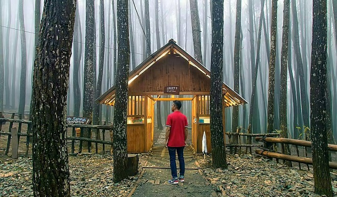 Wisata Jogja Terbaru Hutan Pinus Mangunan, Bantul