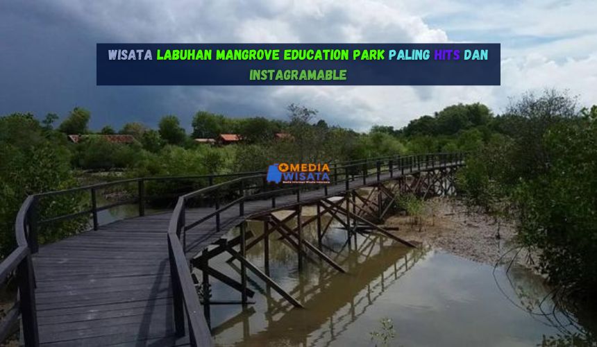 Wisata Labuhan Mangrove Education Park Hits dan Instagramable