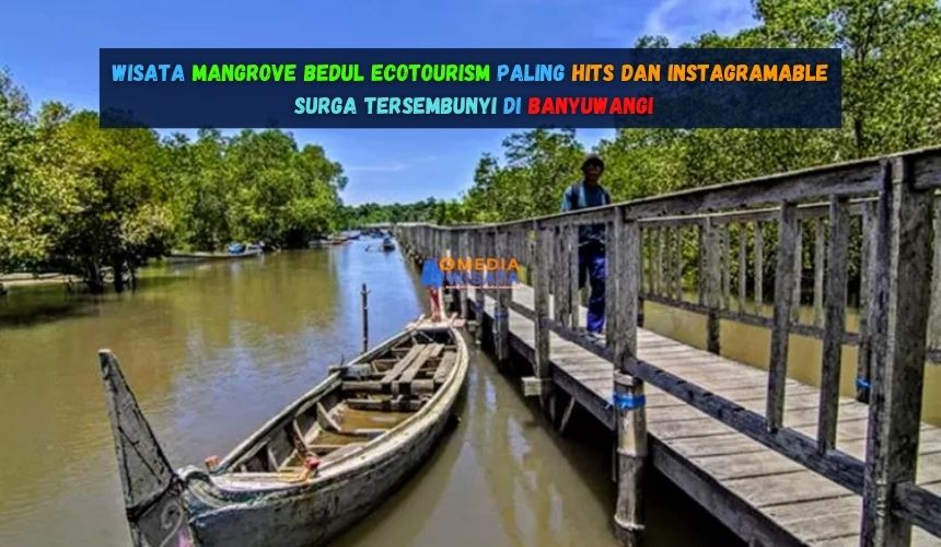 Wisata Mangrove Bedul Ecotourism Paling Hits dan Instagramable