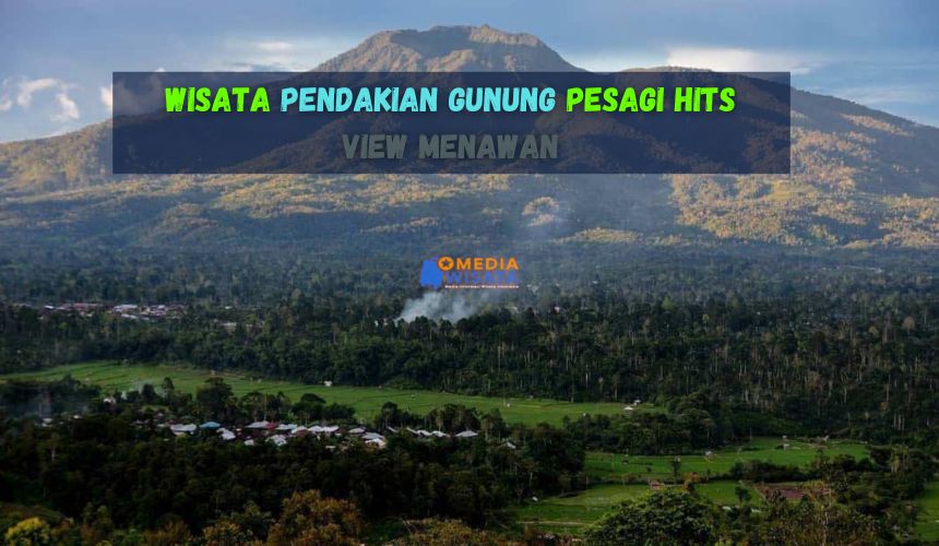 Wisata Pendakian Gunung Pesagi Hits View Menawan