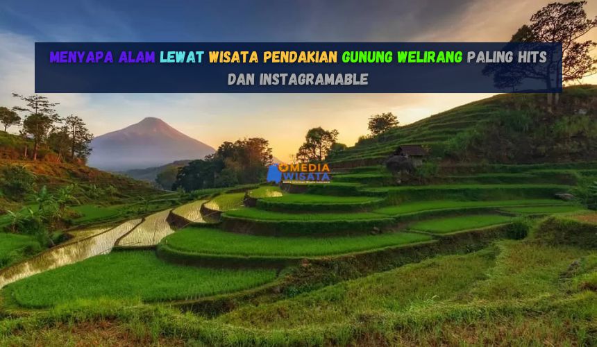 Wisata Pendakian Gunung Welirang Paling Hits dan Instagramable