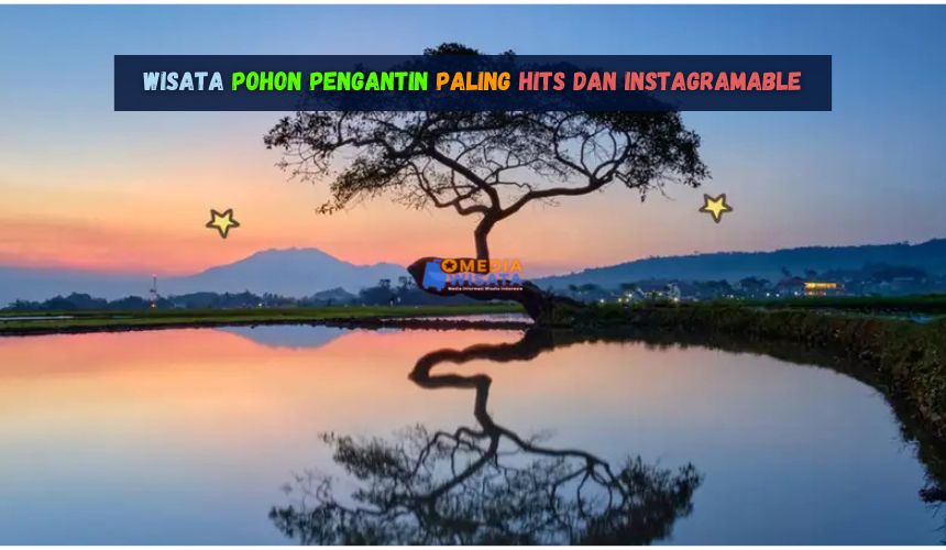 Wisata Pohon Pengantin Paling Hits dan Instagramable
